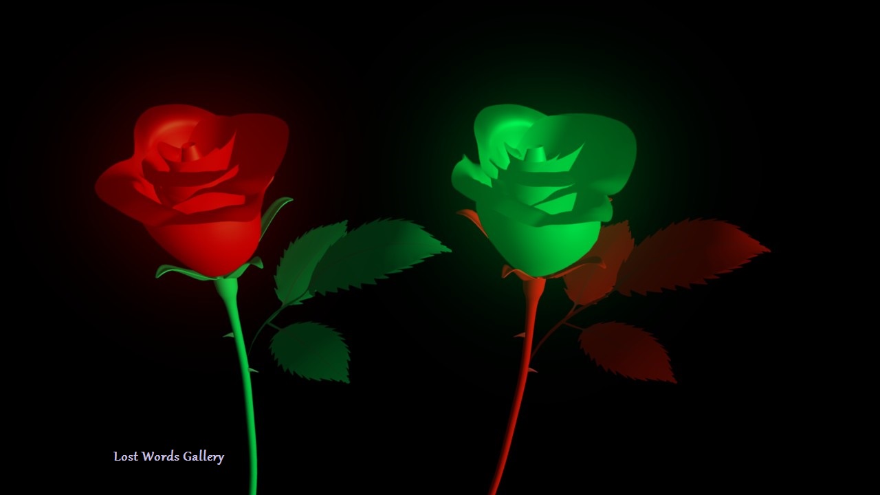 The other way around - Rose